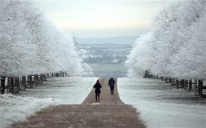 frost-ice