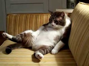 What I'll end up doing on Friday night.