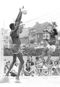 Wilt Knows Volleyball